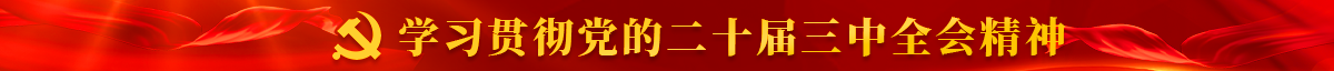 学习贯彻党的二十届三中全会精神